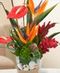 Tropicals