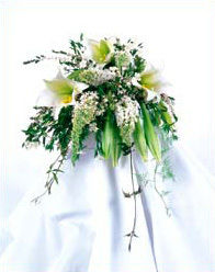 Weddings at R&A Robinson Florist